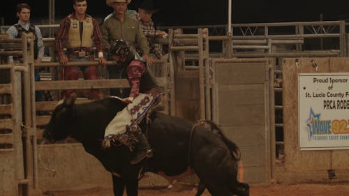 Man Riding a Bull