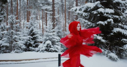 An Ice Skater in a Red Costume