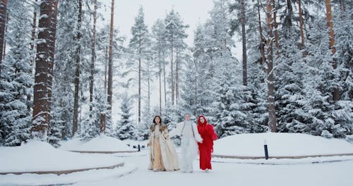 Three Women in Character Ice Skating