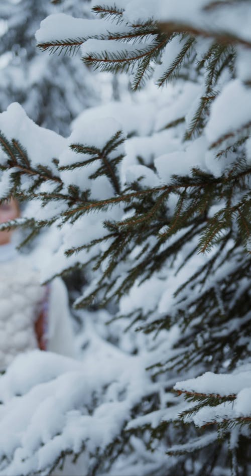 Snow Queen in the Forest 