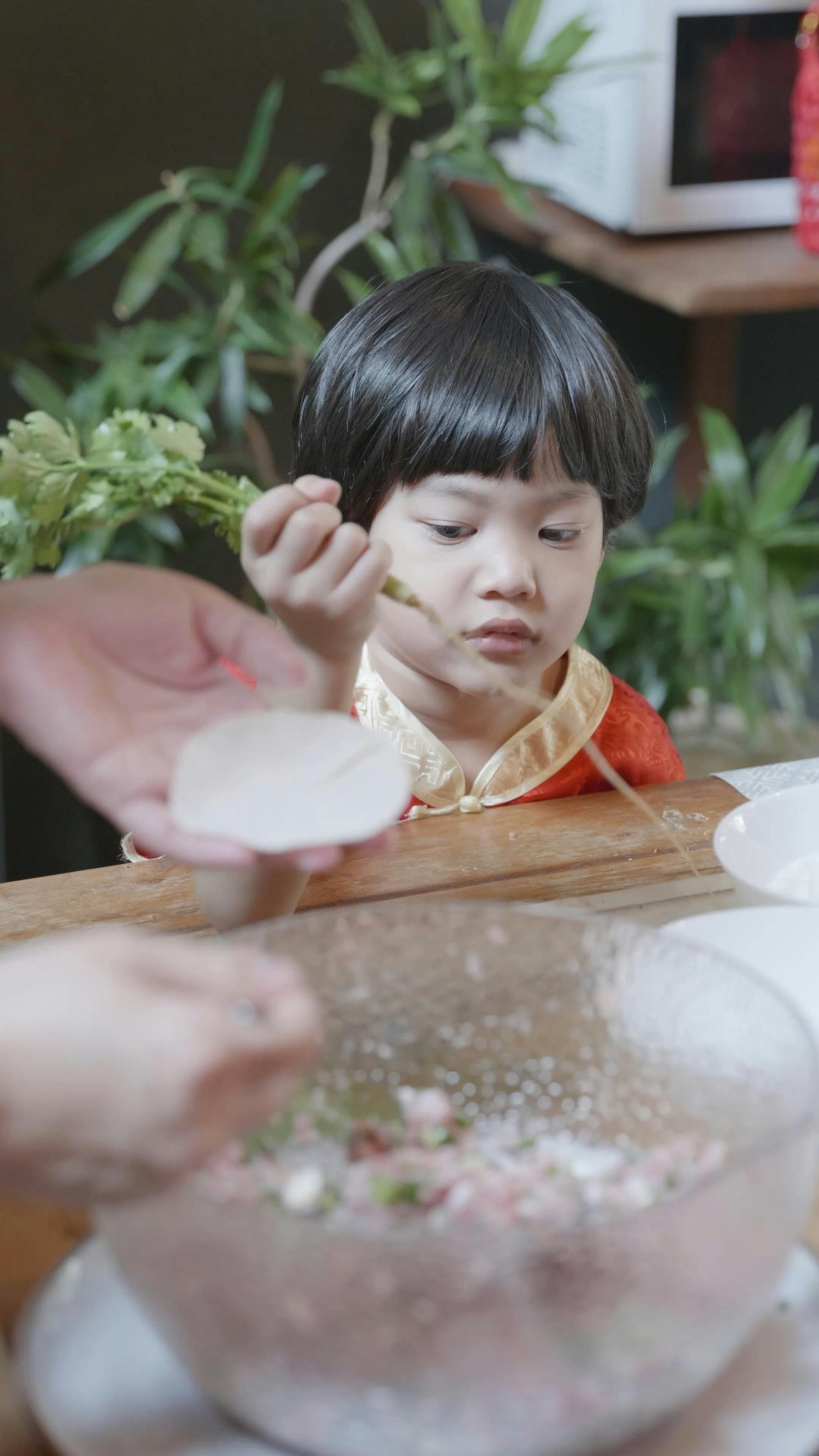 Coriander Plant Videos, Download The BEST Free 4k Stock Video Footage