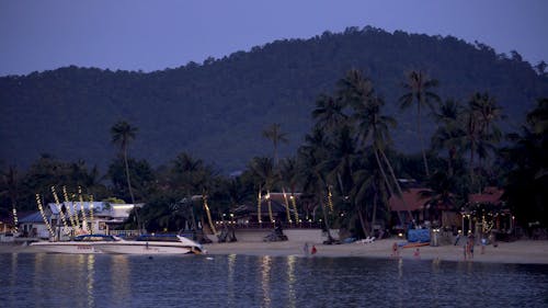 Vacation at the Beach