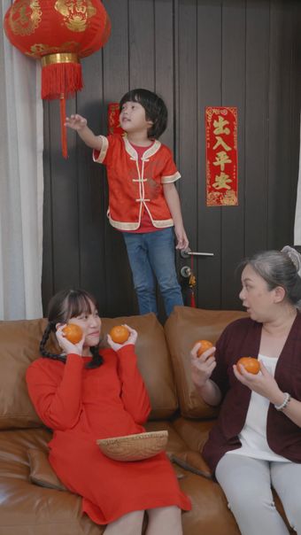 春节免费下载视频素材
