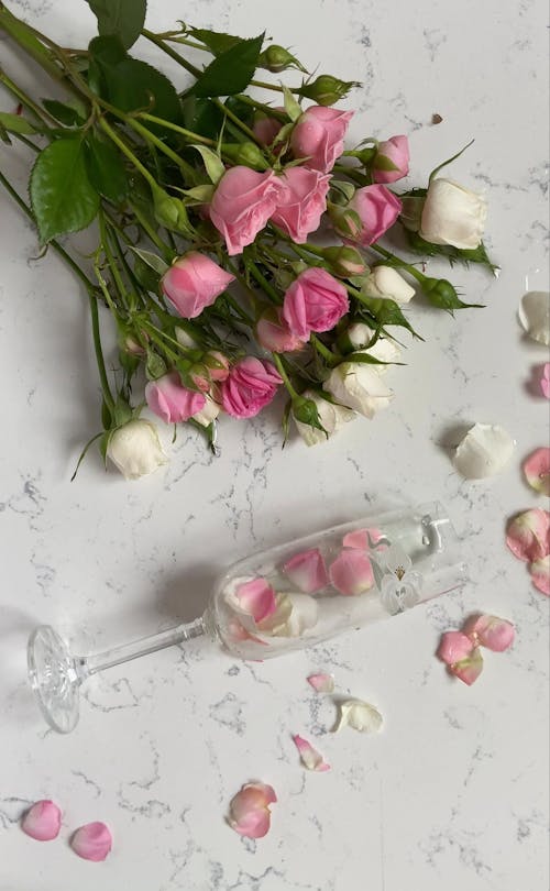 Video of Roses and Champagne Glass