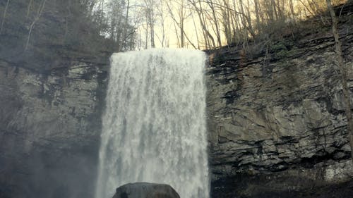 Waterfalls in the Forest
