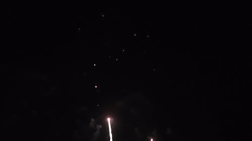 Beautiful Fireworks on a Night Sky