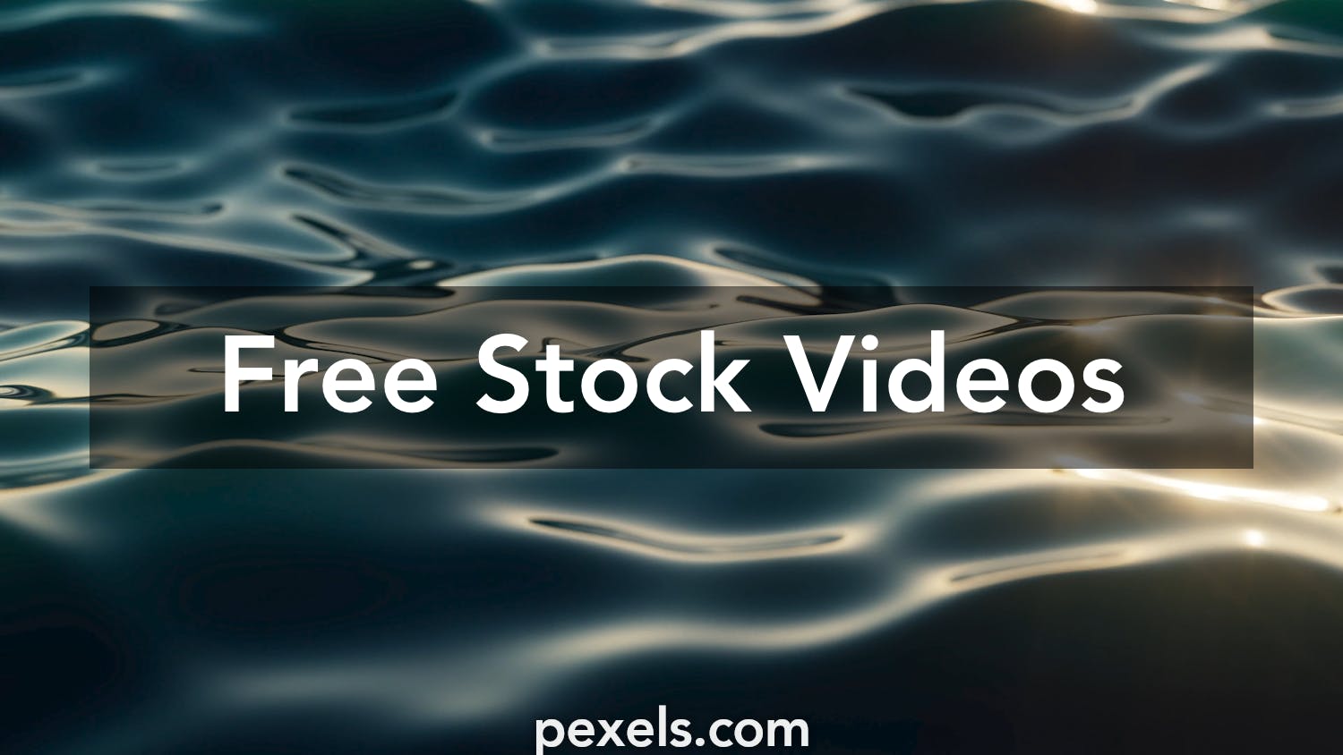 Mais de 3 vídeos grátis em HD e 4K de Live Wallpaper e Mac - Pixabay