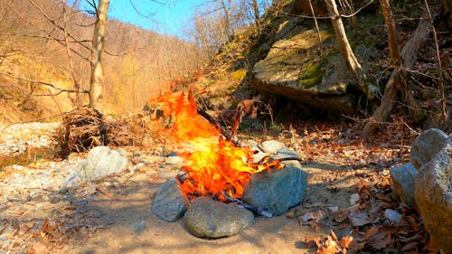 Bonfire in the Wilderness