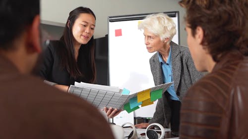 Woman Presenting Proposal to Elderly