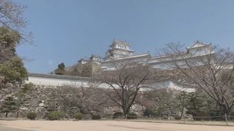 抗日高清视频视频素材