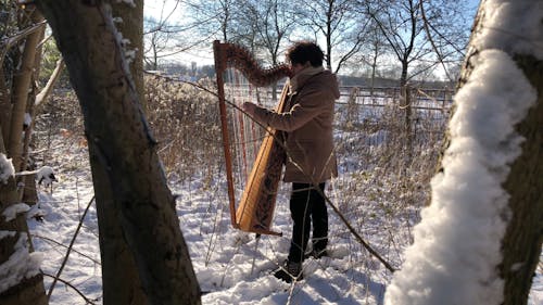 Man Playing Strings in the Forest 