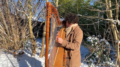 Man Playing String in the Woods 