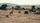 african savanna