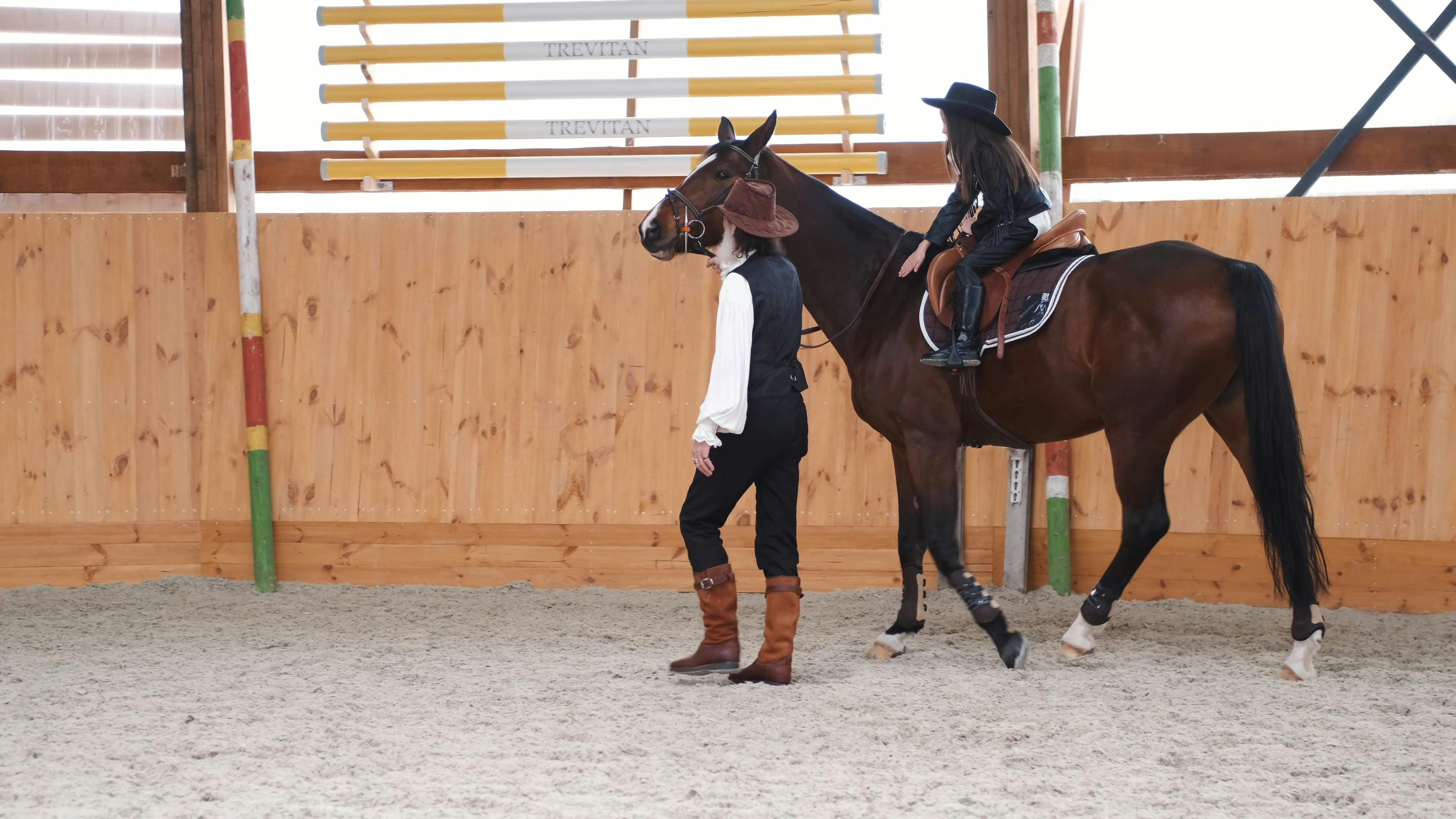 Horse Laxative School Netflix Videos, Download The BEST Free 4k Stock