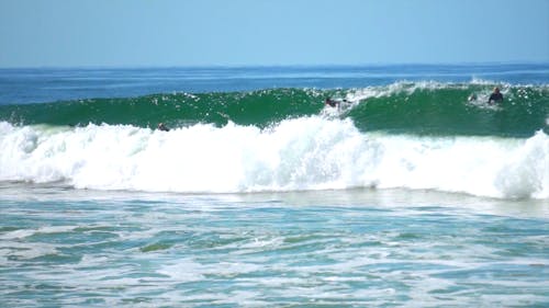 A Man Surfing on the Waves
