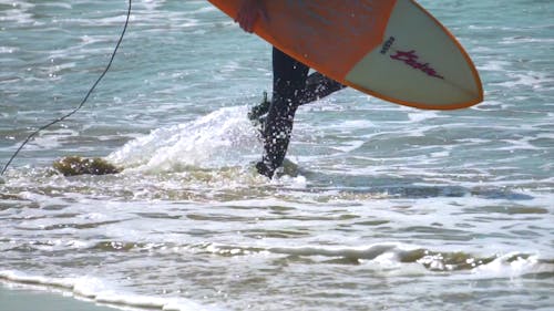 A Person Walking on the Beach while Carrying a Surfboard