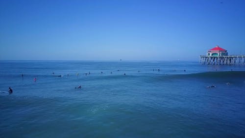 A Group of People Surfing on the Beach