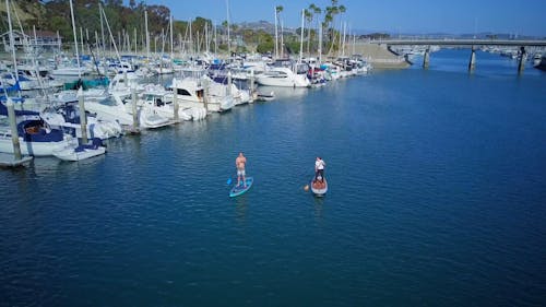 People Paddle Boating beside a Marina