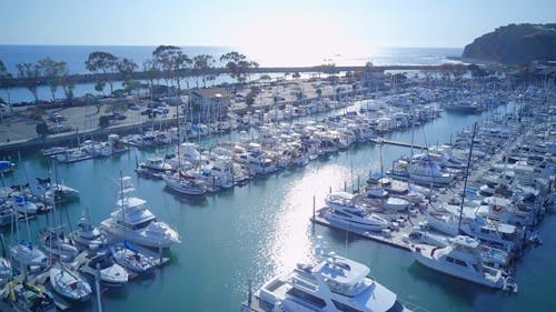 Morning at City Harbor Viewed with Boats and Yachts