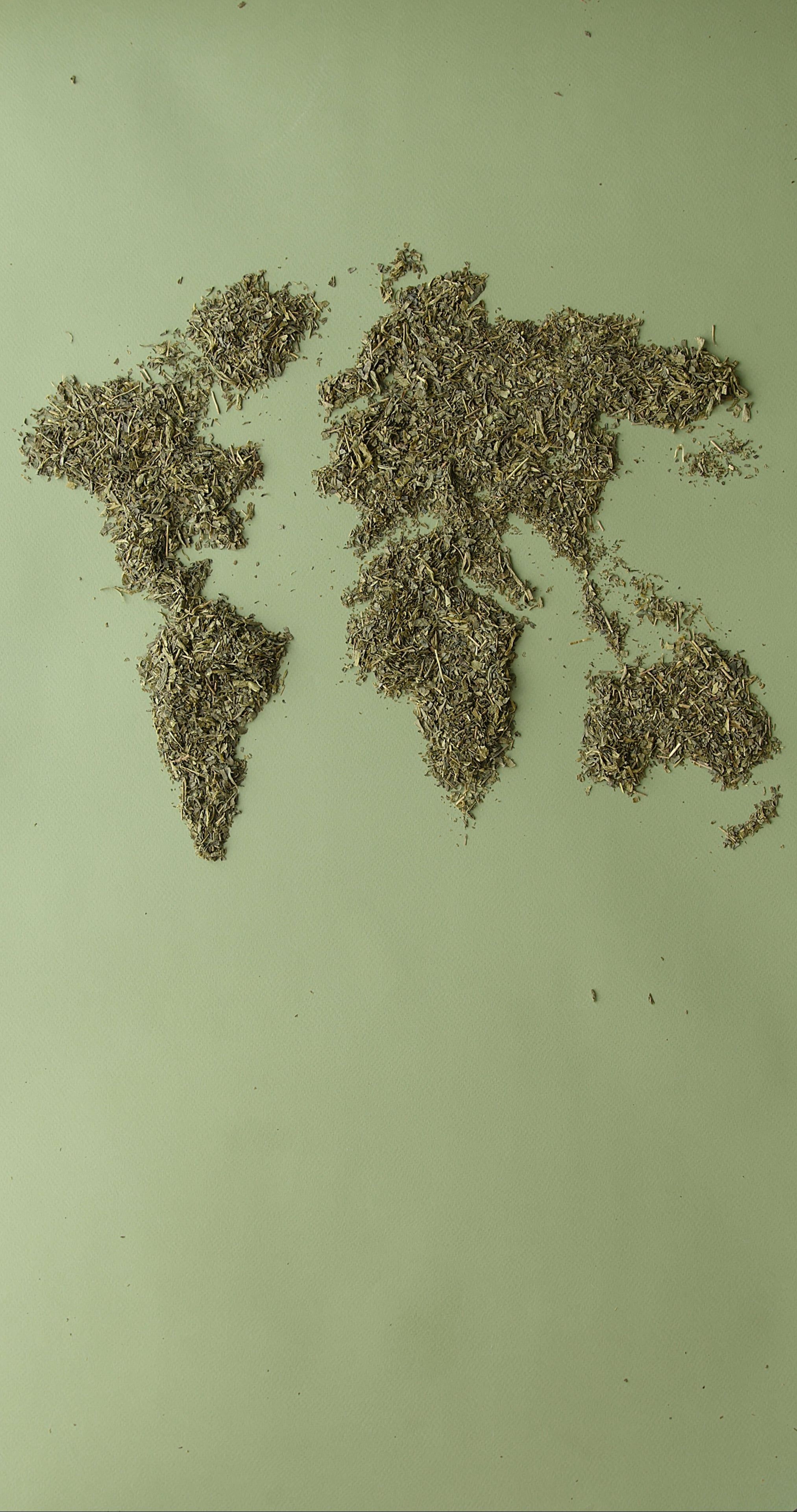 Dried world map today videos download the best free 4k stock video