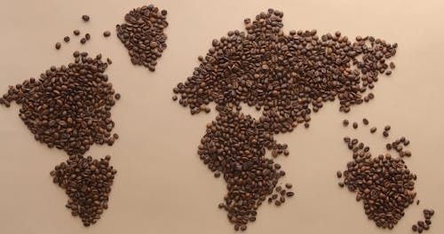 Coffee Beans Sorted in a Surface like a Map