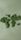 green earth