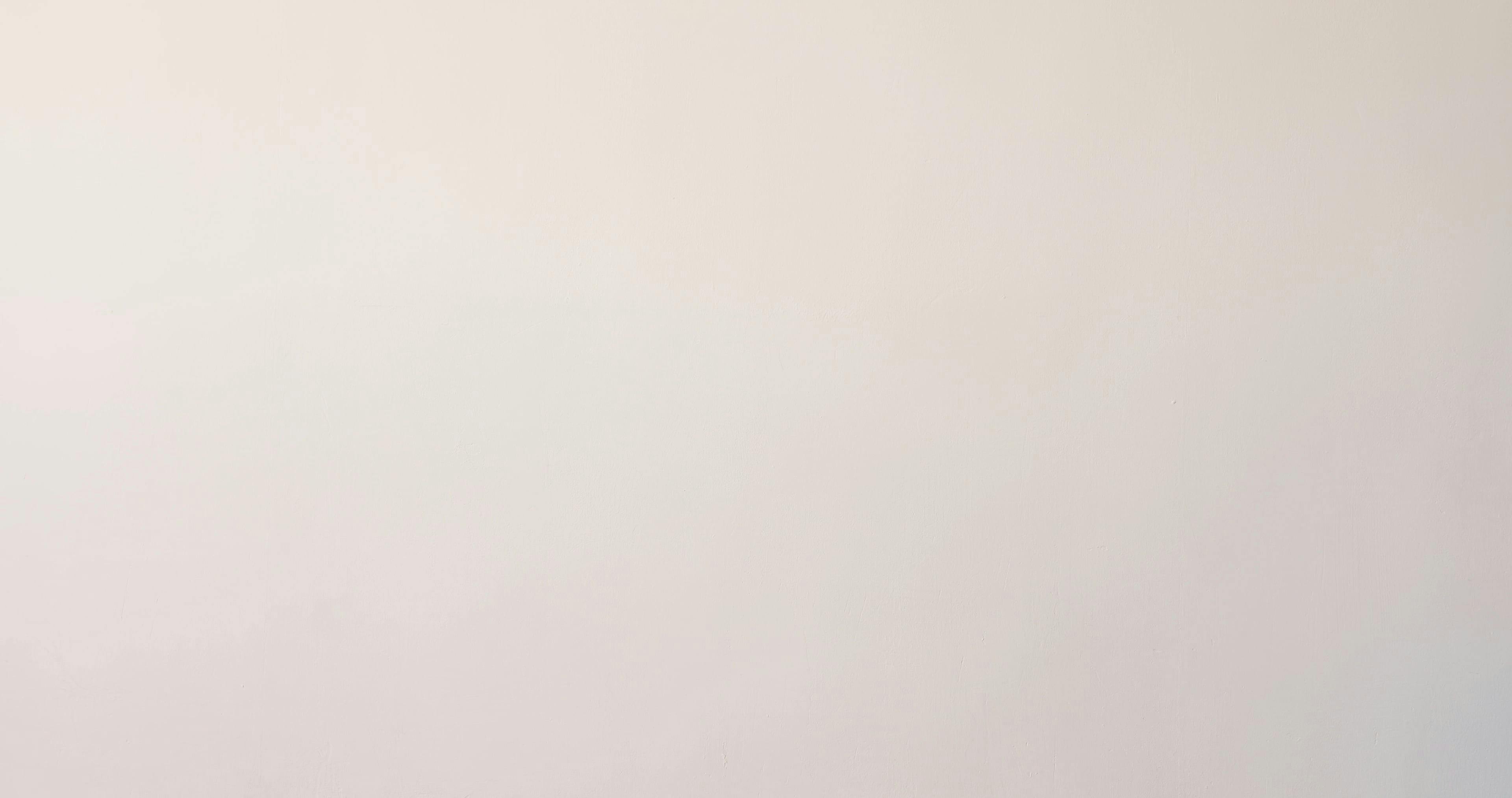 Video by Monstera Production