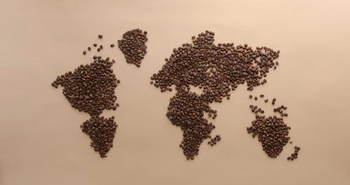 A World Map Made of Coffee Beans