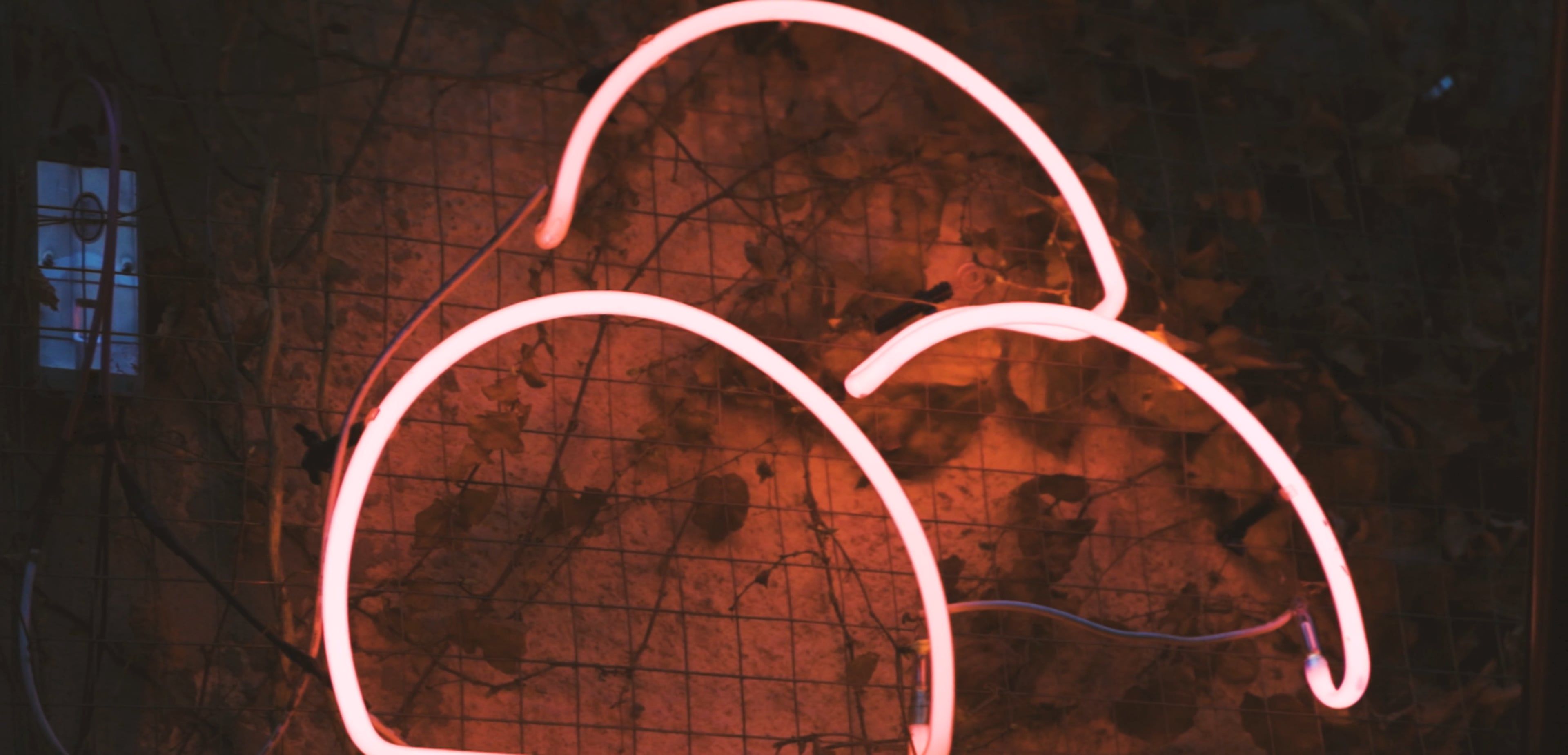Close-Up Video of Neon Lights · Free Stock Video