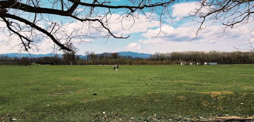 Drone Footage of a Field