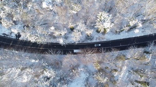 Aerial view of a Road in the Middle of a Snowy Forest