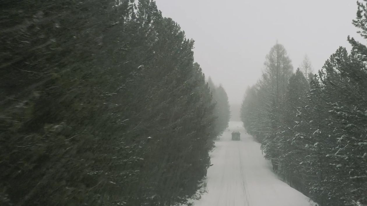 A Car Moving in a Snow Covered Forest Free Stock Video Footage, Royalty ...