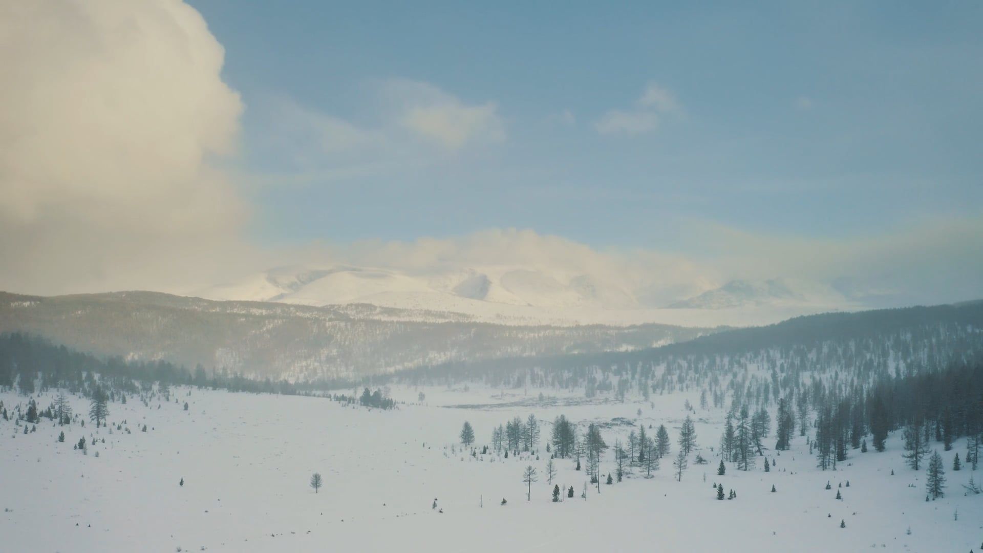 Drone Footage of a Trees and Snow Free Stock Video Footage, Royalty ...