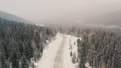 Aerial Footage of Forest Road During Winter Season