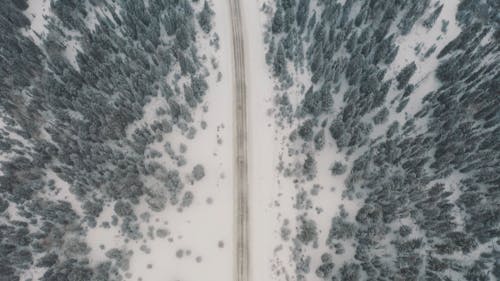 Aerial Footage of a Forest Road During Winter Season