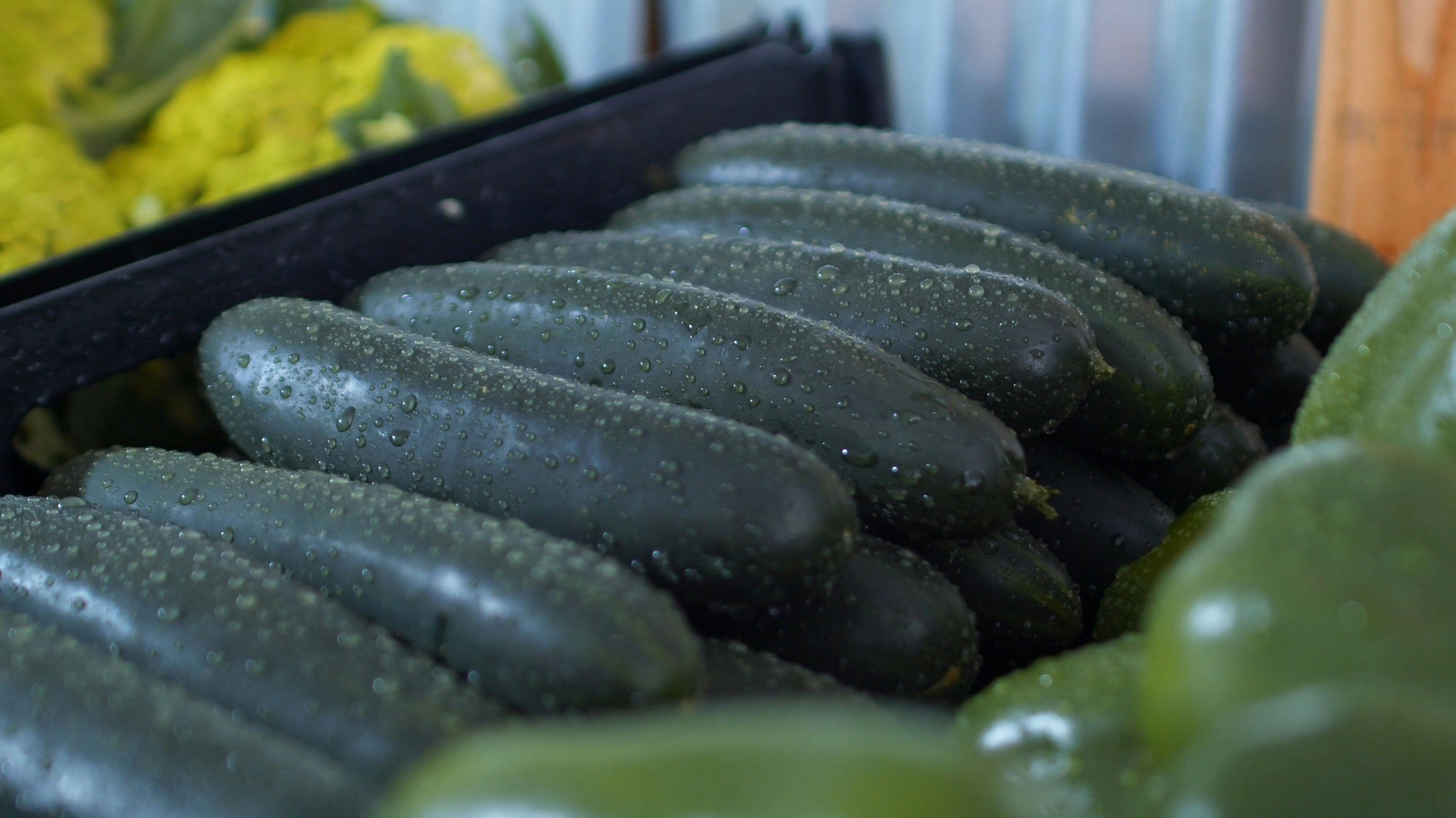 Close-up Shot of Fresh Cucumbers · Free Stock Video