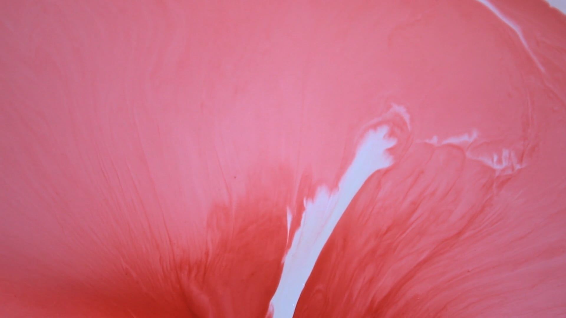 Mesmerizing abstract color flows