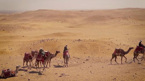 People Riding on Camels in the Desert