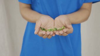 豌豆尖视频素材视频素材
