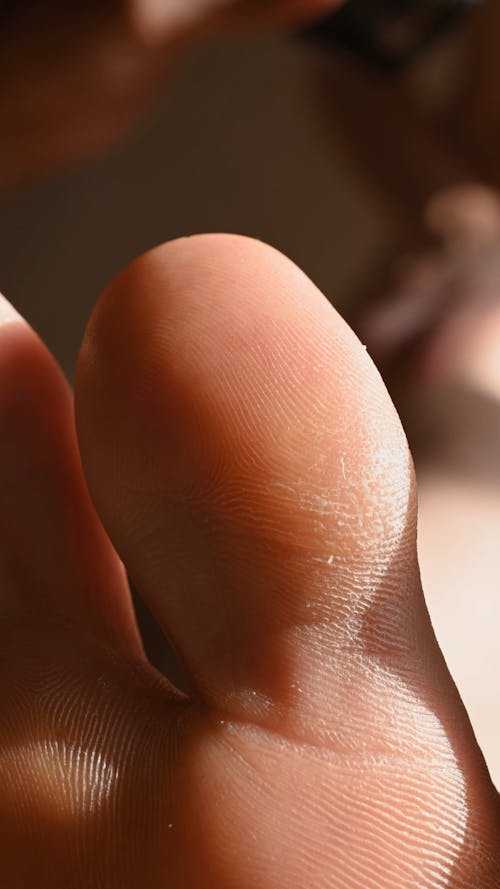 A Close up of Big Toe