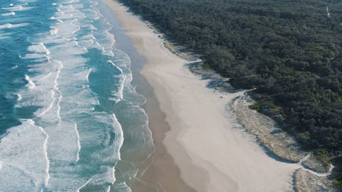 Aerial Footage of a Beach