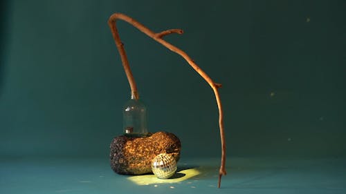 A Tree Branch in the Bottle