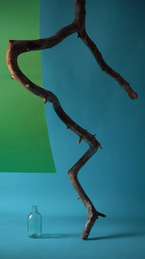 A Tree Branch on the Table