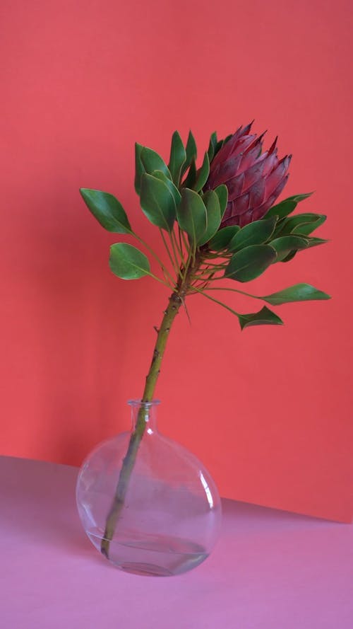 A Flower and Palm Leaves in a Glass Bottle Vase
