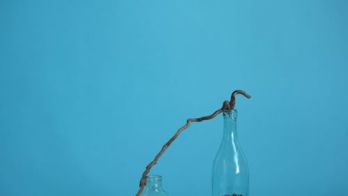 Glass Bottles and a Stick
