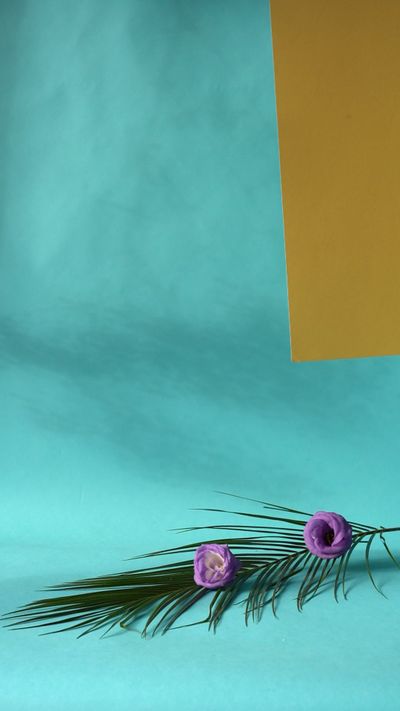 Marina Leonova's geometric patterns animation video