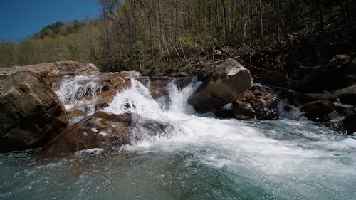 Close-Up Video of Flowing Stream