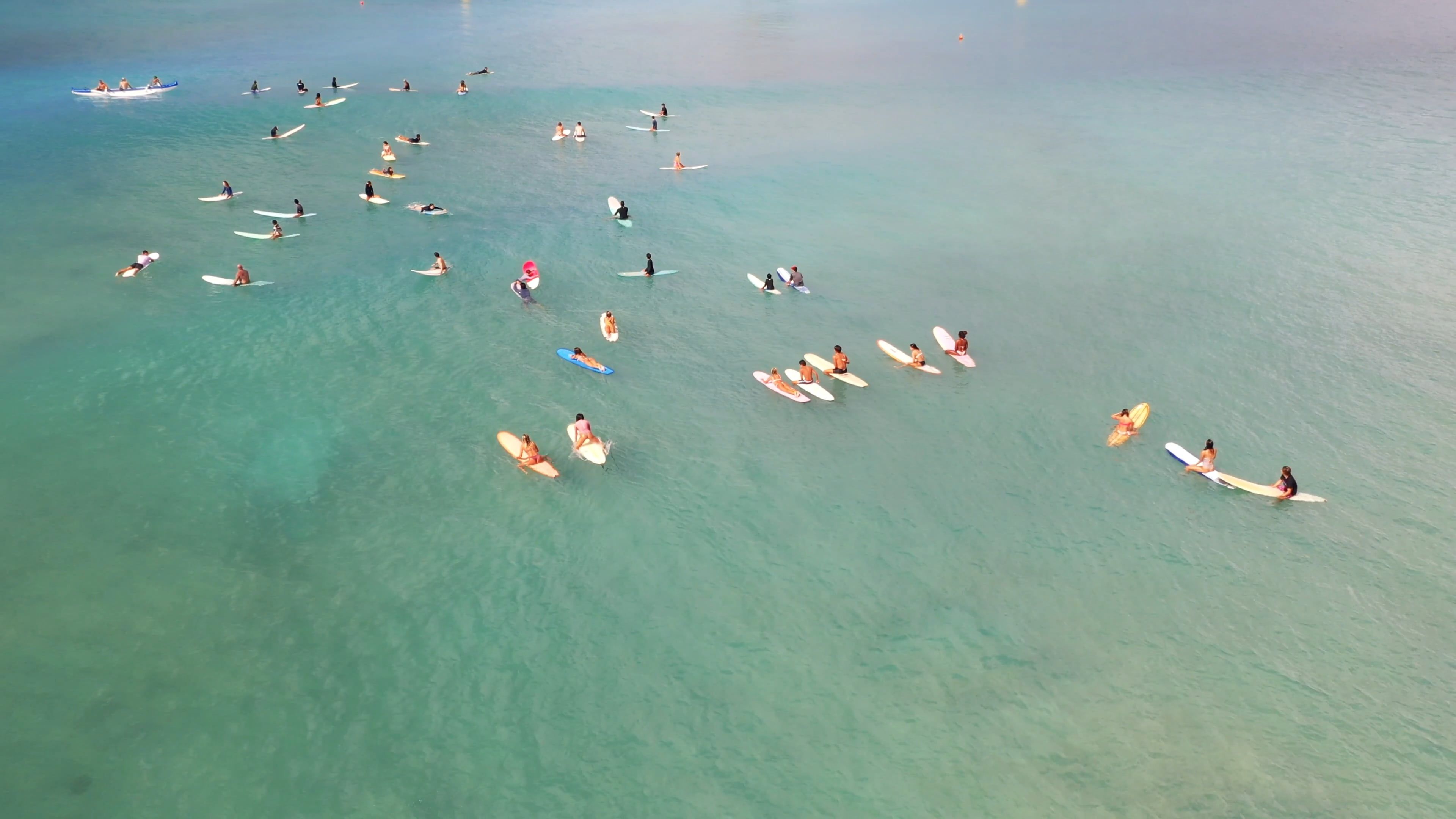Ocean Activities Videos, Download The BEST Free 4k Stock Video Footage ...