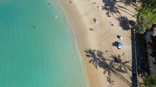 Top View of People on the Beach