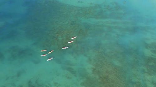 Drone Footage of Surfers at Sea